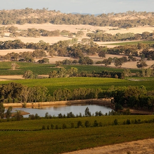 Polish Hill River Valley